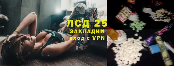 spice Снежногорск