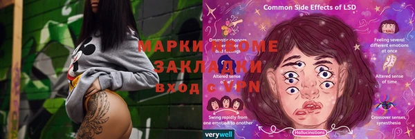 сатива Снежинск
