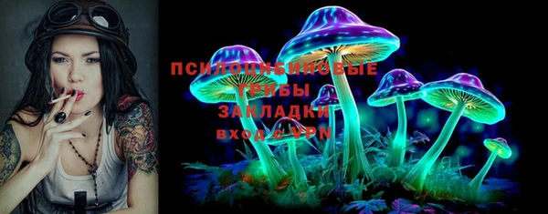 спиды Алексин